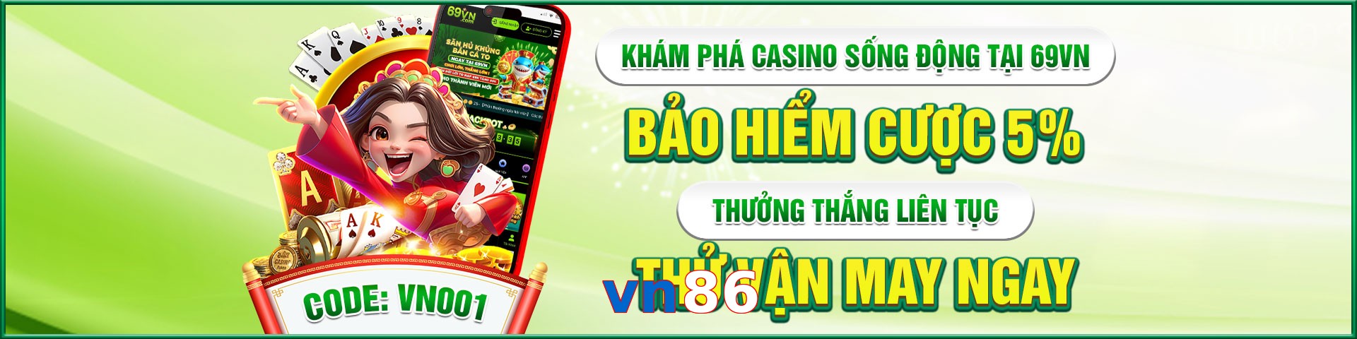 vn86